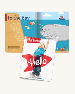 Hello magazine covers